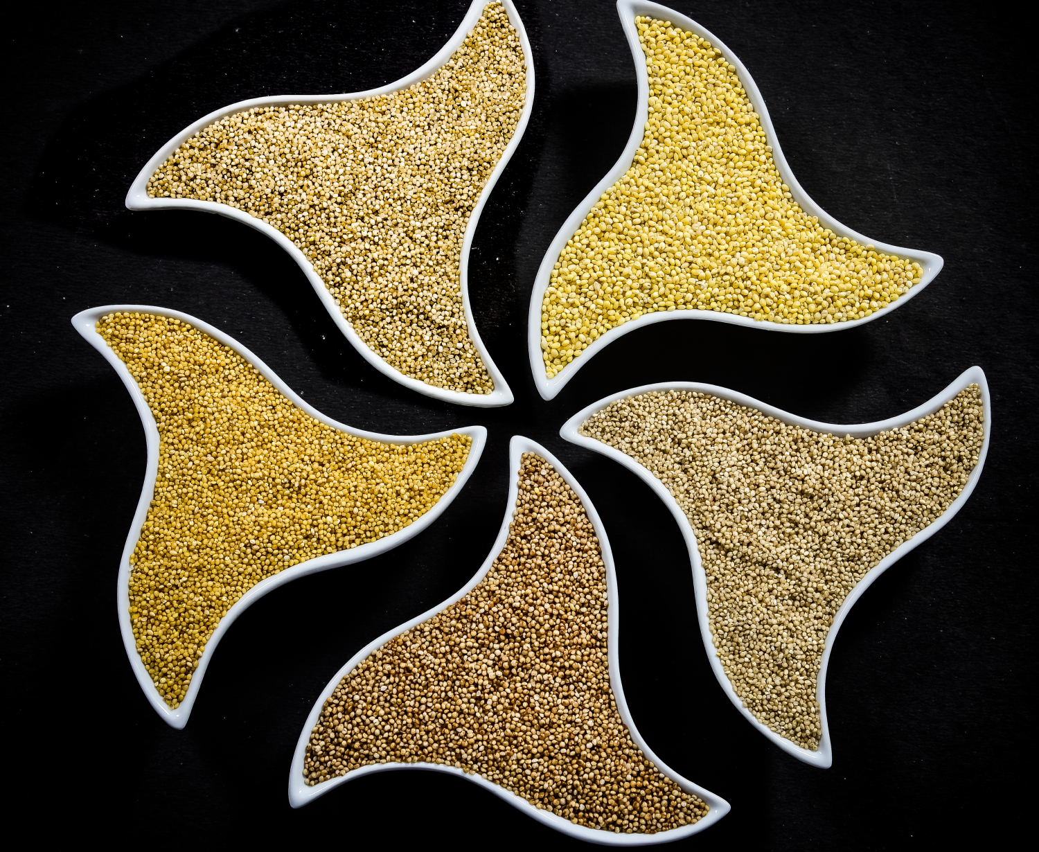 superfood Ashok Bhagar Mill